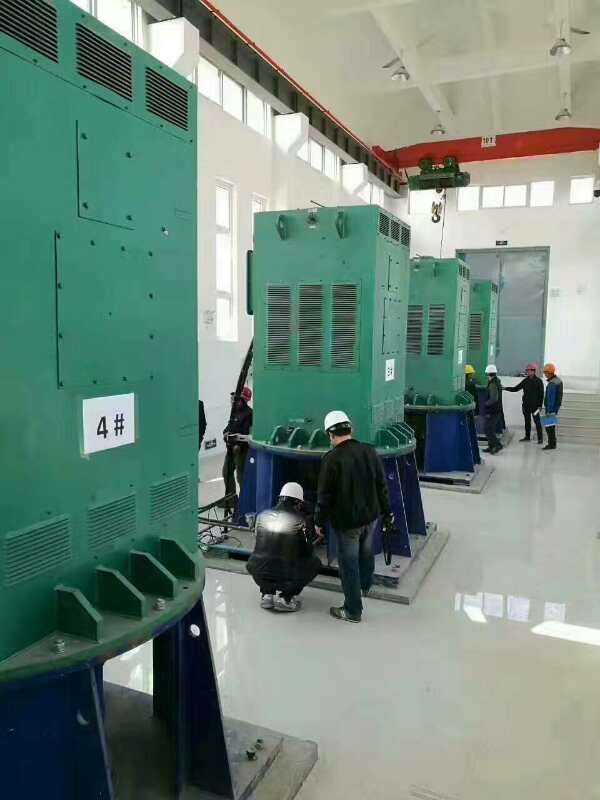 凤冈某污水处理厂使用我厂的立式高压电机安装现场